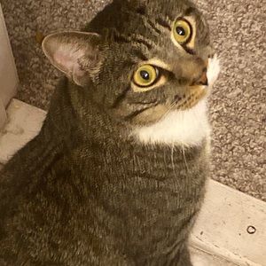 Meet your Posher, Suzanna